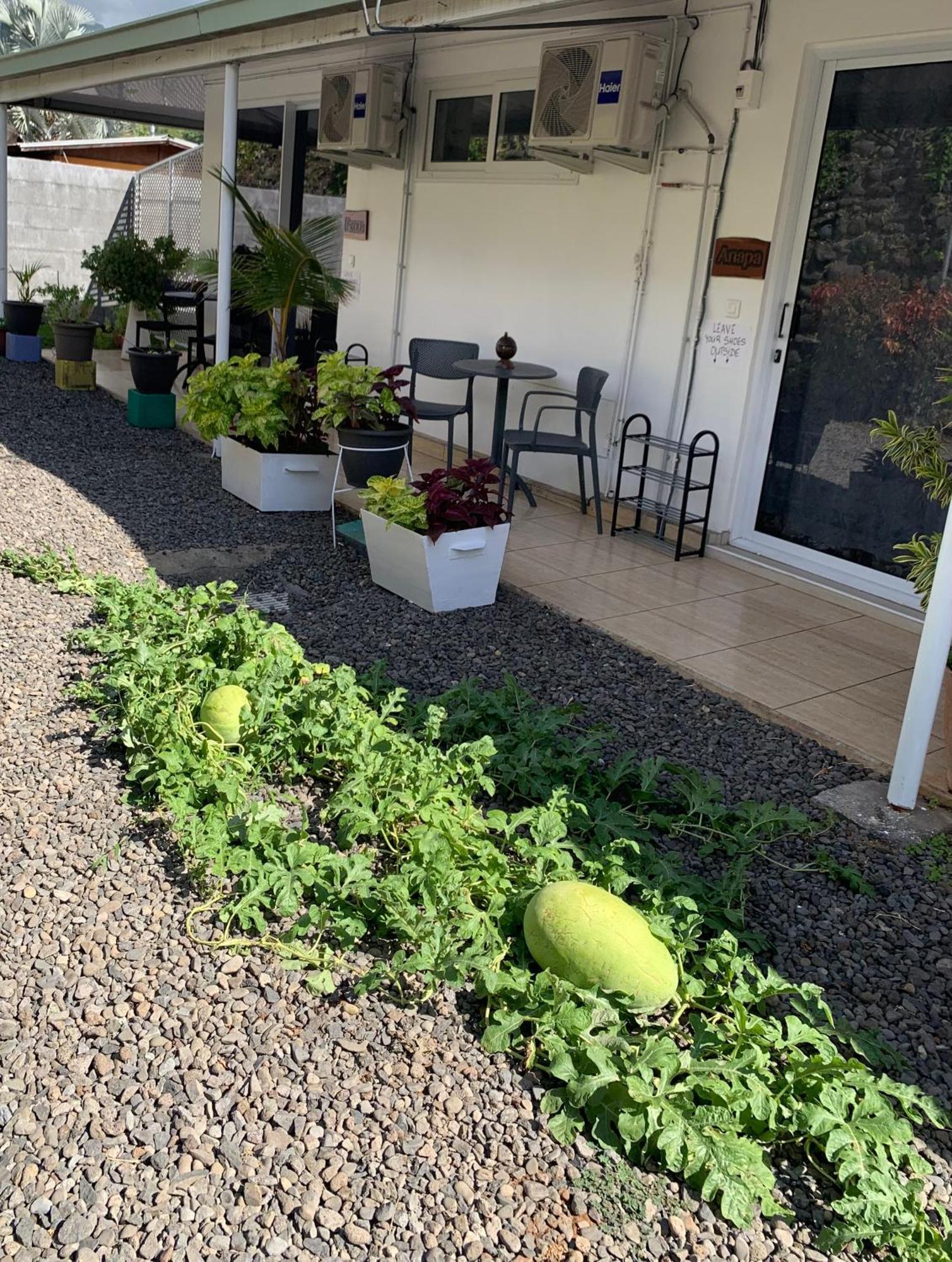A Tomo Mai Homestay, Close To Airport, Private Bathroom Free Parking And Wifi With High Connection And Breakfast Optional Faaa Buitenkant foto